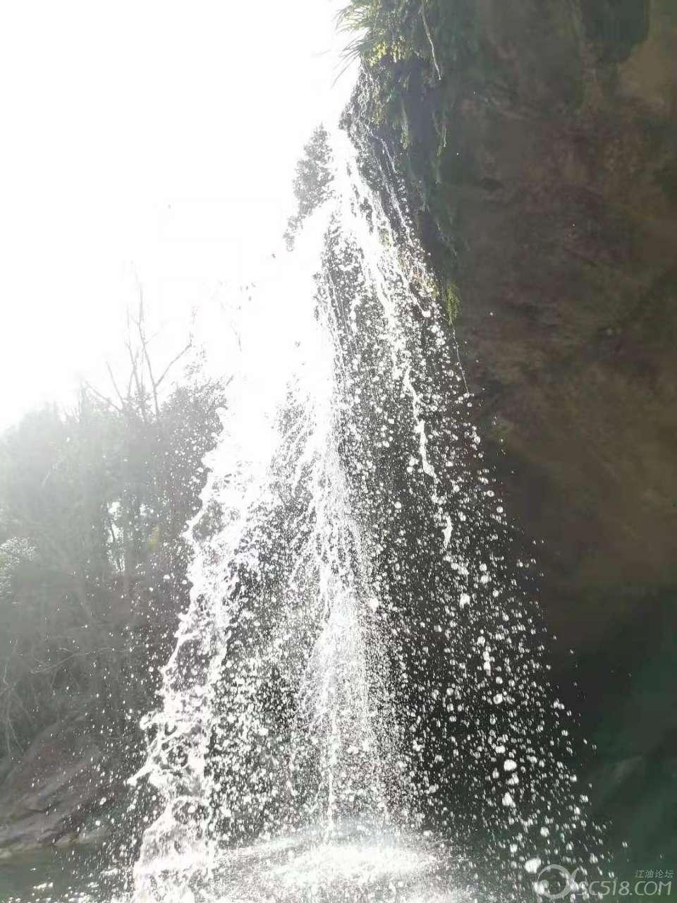 探索知识星球平台,加入老脱发怎么办?,与行业大牛共同成长
