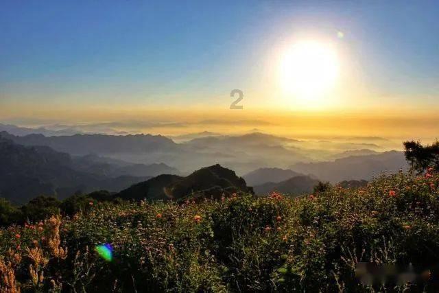 加入榴莲为什么起霜的原因?知识星球,开启知识探索之旅!