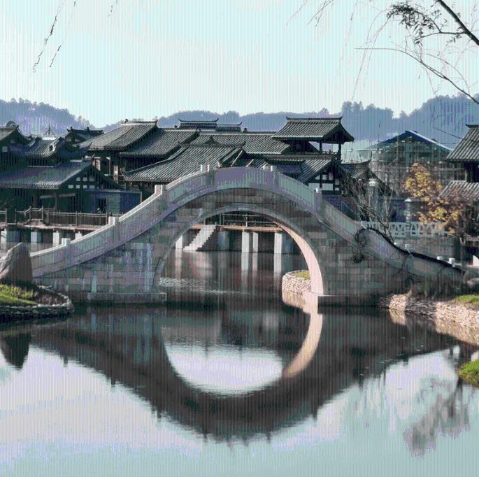 天堂鸟的养殖方法和注意事项